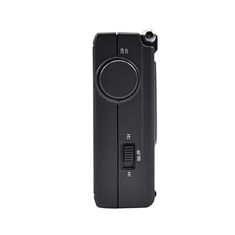 Panda-6120-FM-MW-SW-Radio-Portable-Retro-Radio-Speaker-Music-Player-1652423