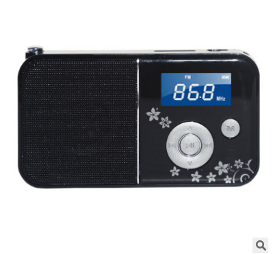 Panda-DS-111-FM-Radio-TF-Card-Portable-Computer-Speaker-WMA-MP3-Music-Player-1655888