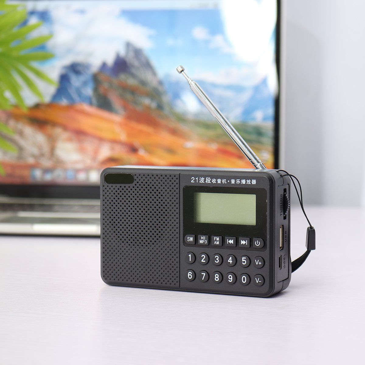 Portable-FM-AM-SW-21-Bands-DSP-Digital-Radio-USB-TF-Card-MP3-Music-Player-Speaker-With-Telescopic-An-1688399