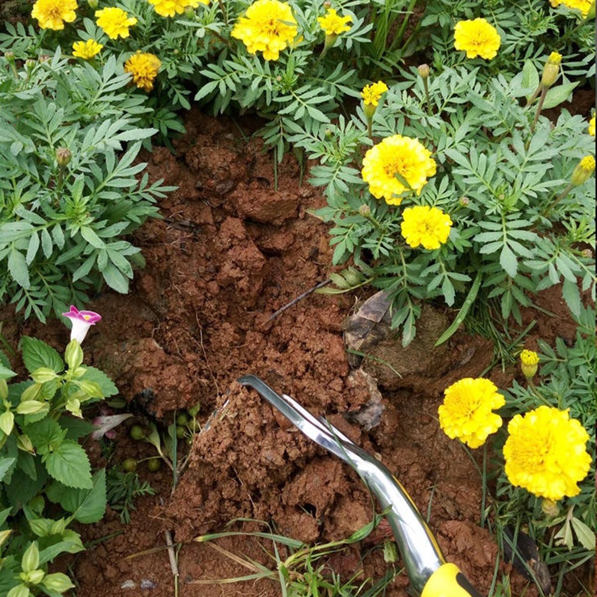 59PCS-Garden-Tool-Bag-Toolbag-Manual-Gardening-Planting-Hand-Fork-Digging-Tool-1695521