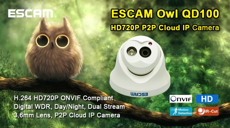 Escam-QD100-720P-IP-Camera-Network-IR-Cut-P2P-IR-Night-Vision-Motion-Detection-Support-Onvif-Camera-937655