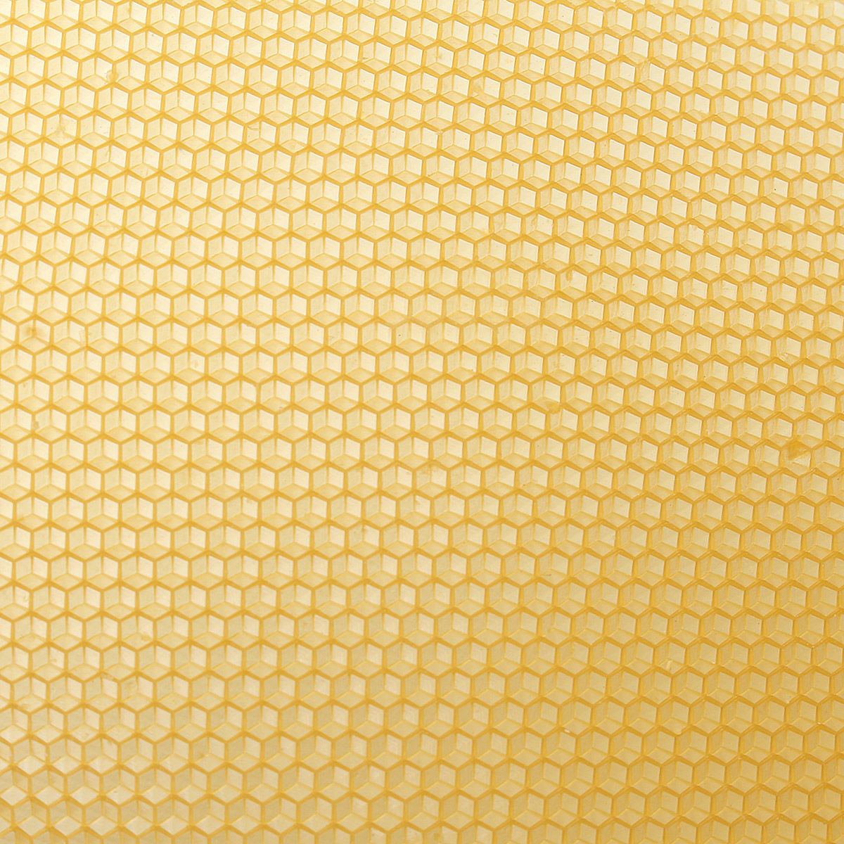 10Pcs-Honeycomb-Wax-Frame-Beekeeping-Foundation-Honey-Hive-Equipment-Tool-1395061