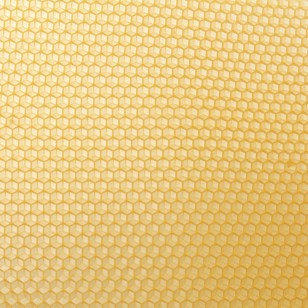 10Pcs-Honeycomb-Wax-Frame-Beekeeping-Foundation-Honey-Hive-Equipment-Tool-1395061